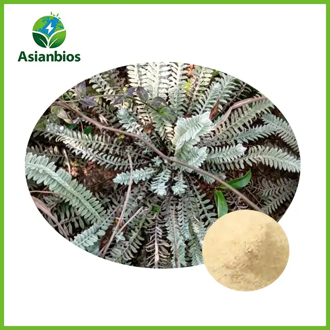 Deer Antler Extract Powder